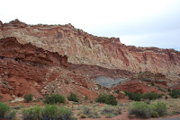 DSC_4933.JPG