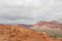 DSC_4929.JPG