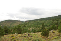 DSC_4960.JPG