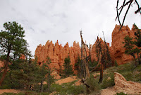 DSC_5048.JPG