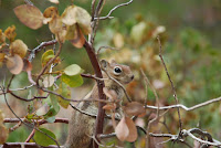 DSC_5077.JPG