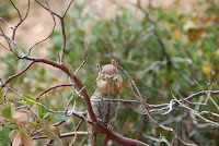 DSC_5084.JPG