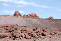 DSC_5189.JPG