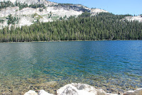 DSC_5348.JPG Photo
