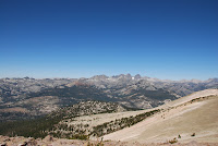 DSC_5339.JPG Photo