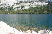 DSC_5349.JPG Photo