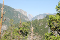 DSC_5380.JPG Photo