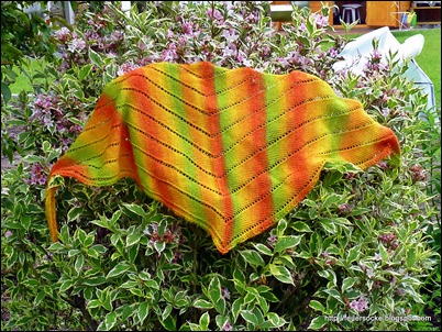 P1010136
