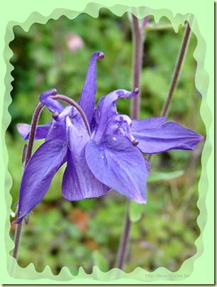 P1010033