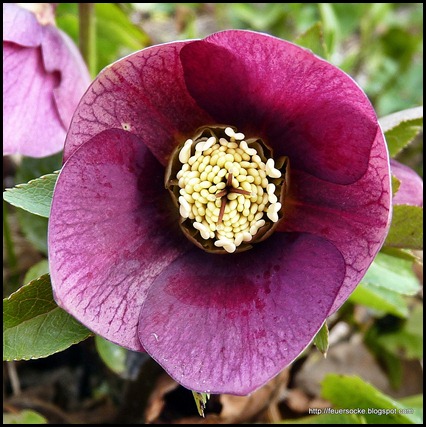 P1020105
