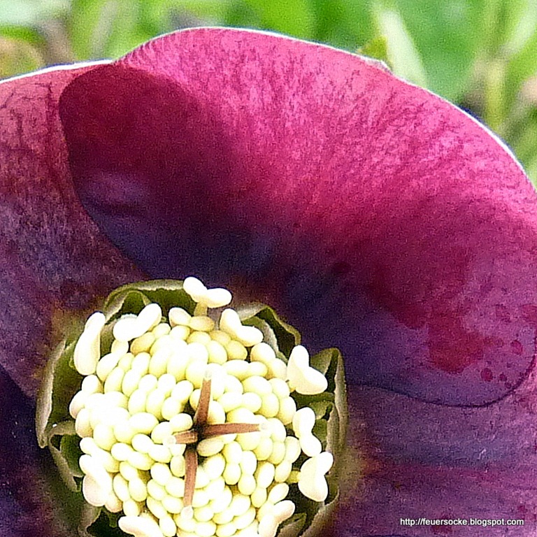 [P10201074.jpg]
