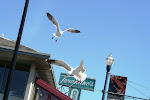 SF-trip-YSK16.jpg