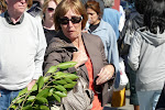 SF-Trip-YSK2-4.jpg