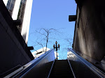 SN850001.JPG