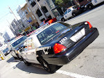 SN850052.JPG