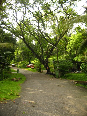 [IMG_55252.jpg]