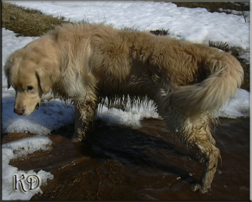 2005_03.JPG