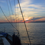 100-0017_IMG_2.JPG