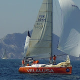 P9080058.JPG
