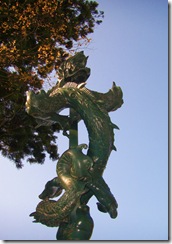 The dragon