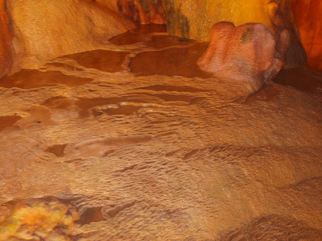 [P1013203[2].jpg]