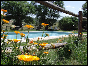 Agriturismo Serratone, Bed and breakfast, Lastminute in appartamento con piscina e aria condizionata in Toscana