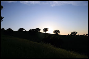 Agriturismo Serratone, Bed and breakfast, un indimenticabile weekend lastminute in appartamento con piscina e aria condizionata  al mare tra le colline della maremma toscana per te e la tua famiglia