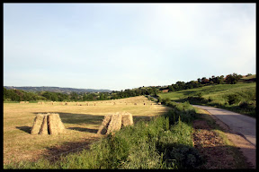 Agriturismo Serratone, Bed and breakfast, La tua vacanza lastminute in appartamento a contatto con la natura toscana