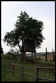 Agriturismo Serratone, Bed and breakfast, appartamenti in affitto con piscina, aria condizionata e tutti i confort nel pieno rispetto della natura toscana