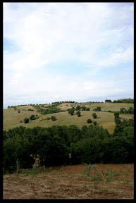 Agriturismo Serratone, Bed and breakfast, Il mare della maremma al centro della tua vacanza in appartamento con piscina e aria condizionata