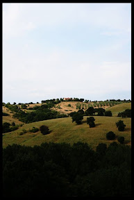 Agriturismo Serratone, Bed and breakfast, un indimenticabile weekend lastminute in appartamento con piscina e aria condizionata  al mare tra le colline della maremma toscana per te e la tua famiglia
