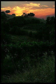 Agriturismo Serratone, Bed and breakfast, una vacanza indimenticabile per te e la tua famiglia tra le colline e il mare della toscana