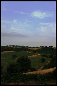 Agriturismo Serratone, Bed and breakfast, La vacanza lastminute in appartamento tra il mare e le colline toscane per te e la tua famiglia 