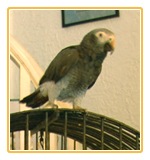 [Cracker Seminole Inn[2].jpg]