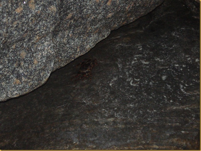 DSC03623 DSC03623