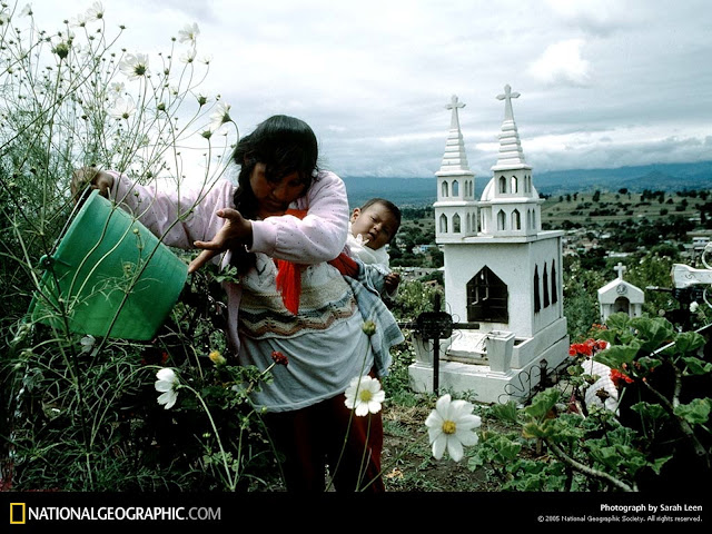 National Geographic Wallpapers 1600 X 1200 National Geographic Wallpapers 1600 X 1200