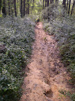 Foto de  Caminho do Norte