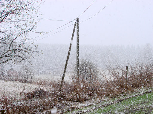 DSC05695.JPG