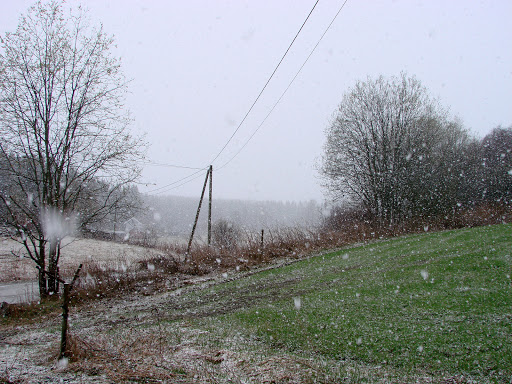 DSC05697.JPG