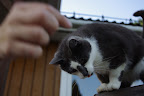 IMGP0210.JPG
