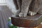 IMGP0327.JPG