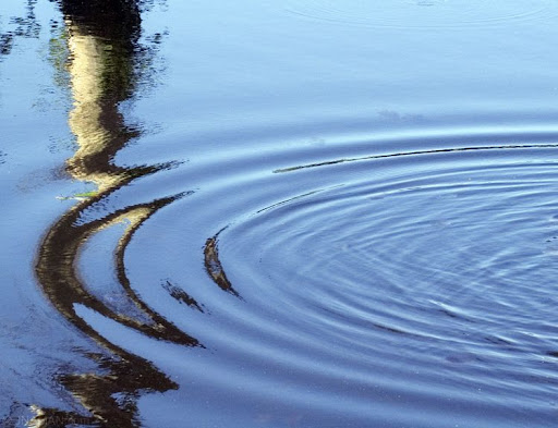 Ripple in Time