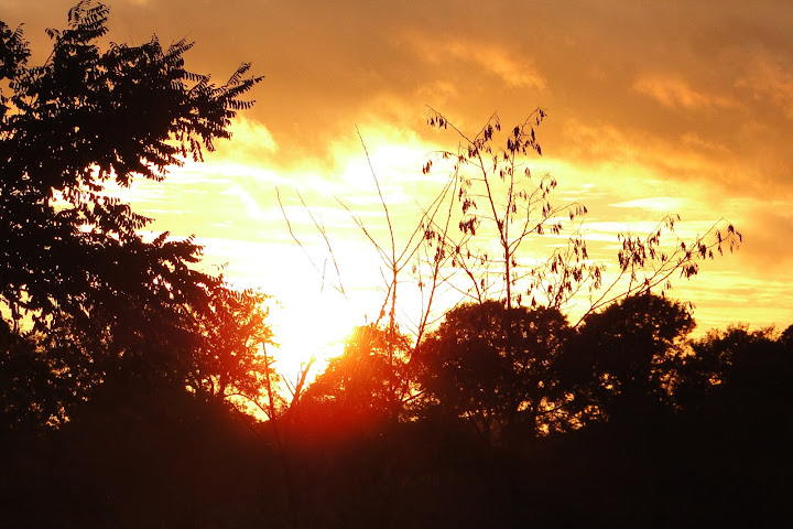 http://lh5.ggpht.com/_W3Yz6GwnBCQ/Sur5bfWt-PI/AAAAAAAABm4/rZqioasKOfQ/s720/coucher%20soleil%2024-10-09%2018h42.jpg