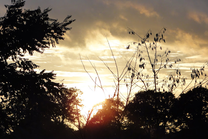 http://lh5.ggpht.com/_W3Yz6GwnBCQ/Sur5klcY9QI/AAAAAAAABm8/t2oEWAXbYuQ/s720/coucher%20soleil%2024-10-0-%2018h43.jpg