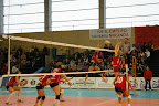 IMGP4619.JPG