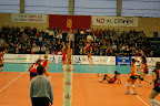 IMGP4686.JPG