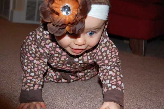 [DSC_0401[3].jpg]