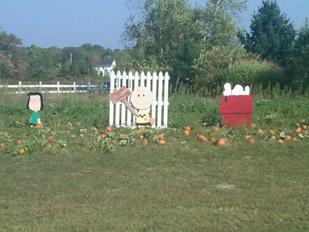 [j.ohnsons farm[3].jpg]