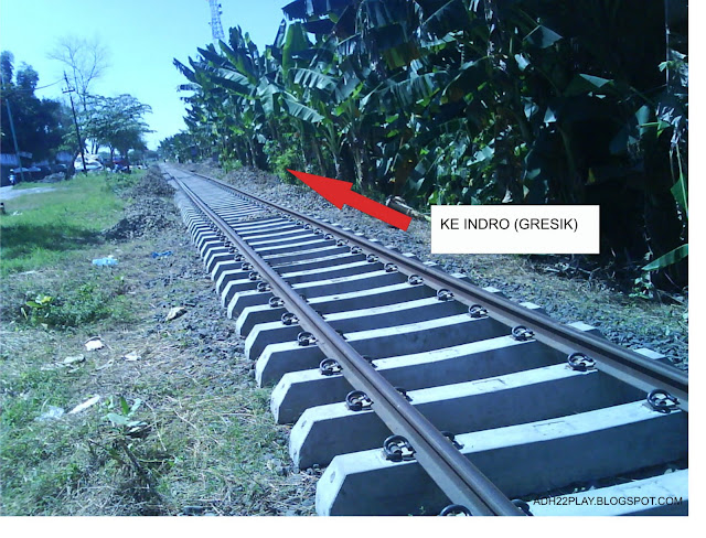 [Image: 5.jpg]