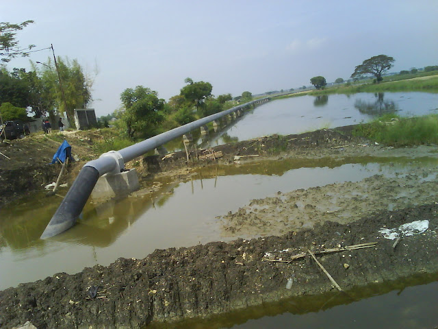 [Image: DSC01203.JPG]